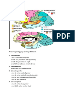 Area2 Di Otak Epithalamus