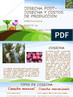 Cosecha Post-Cosecha y Costos de Producción