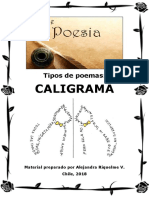 Tipos de Poemas. Caligrama - Alejandra Riquelme.