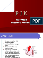 Presentasi PJK