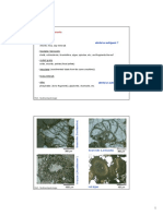 Sedimentpetrologie_skript-10-2.pdf
