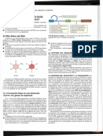 4.3 Anexo 3 ¿Cómo fluye la información