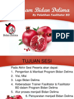 B - Program Bidan Delima