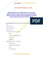 Riesgosaula PDF