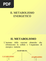 Metabolismo Energetico PDF