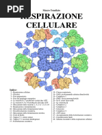 Respirazione Cellulare