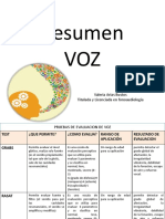 Resumen - VOZ (1) (1)