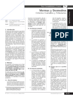 Mermas y Desmedros.pdf