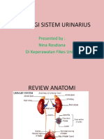 Fisiologi Sistem Urinarius