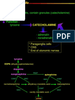 Chromafin Cells, Contain Granules (Catecholamine) : Histology