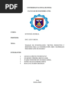 Informe Final de Economia FIINAL