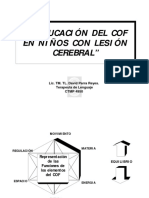 Reeducacin Del Cof en Nios Con Lesion Cerebral 1210124432992600 9