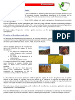 Biocarburants.pdf