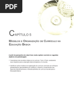 Estruturas Curriculares Transd (4)