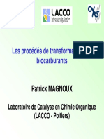 Magnoux.pdf