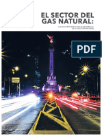 Documento Tecnico GasNatural CNH2018 1 PDF