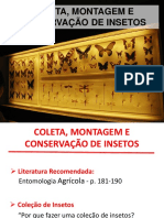 Prat 1 - Coleta, Montagem e Conservação.pdf