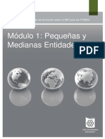 NIIF-PYMES-MF01.pdf
