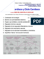 4.CicloCardiaco2015.pdf