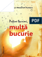 Putine Lacrimi, Multa Bucurie PDF