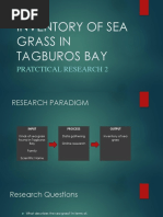 Inventory of Sea Grass in Tagburos Bay: Pratctical Research 2