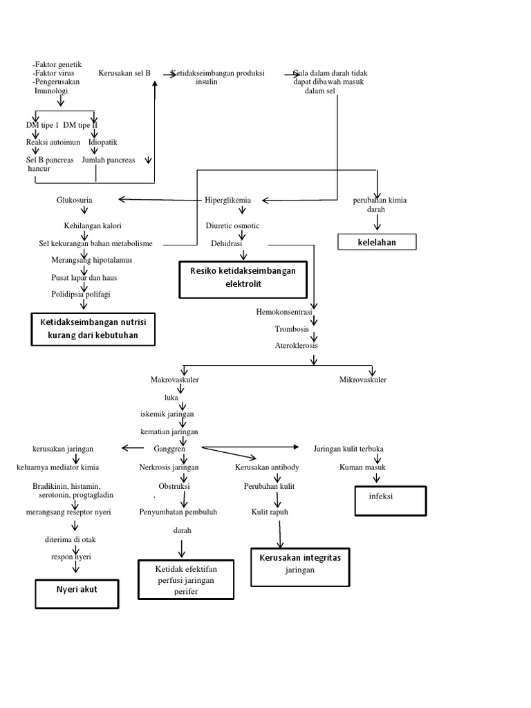 Pathway DM | PDF