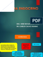 Sistema Endocrino Telesup