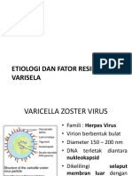 etiologi varisela