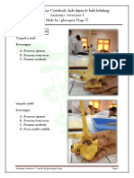 Atlas Vet 12 PDF