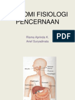 Anatomi Fisiologi Pencernaan