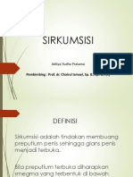 Sirkumsi Penis