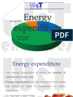 Energyexpenditure 160422165403 PDF
