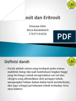 Leukosit Dan Eritrosit