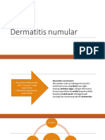 Dermatitis Numular