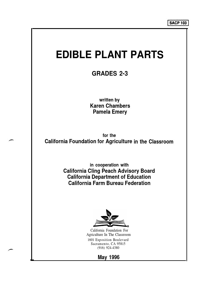 Edible Plant Lesson Plan PDF Root Plant Stem