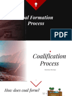 Coal Formation Process