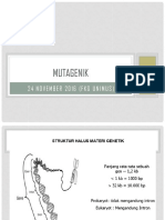 Pendidikan Nasionalisme