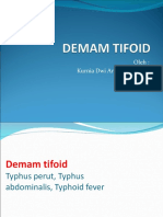 Demam Tifoid