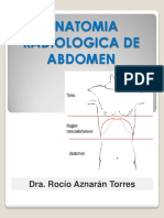 Anatomia Abdomen Radiologica