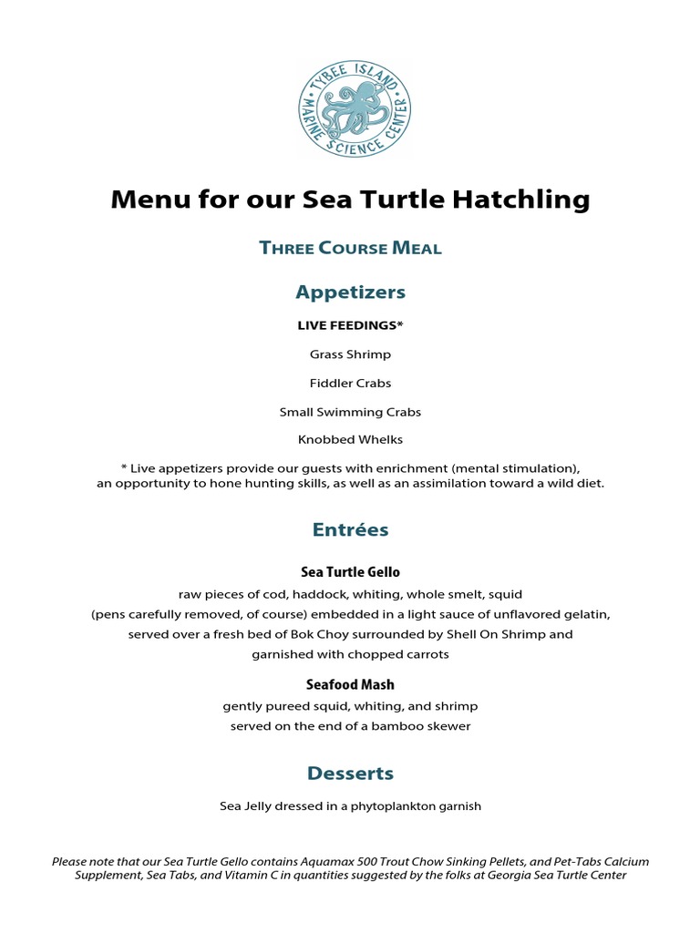 Sea Turtle Hatchling Menu | PDF