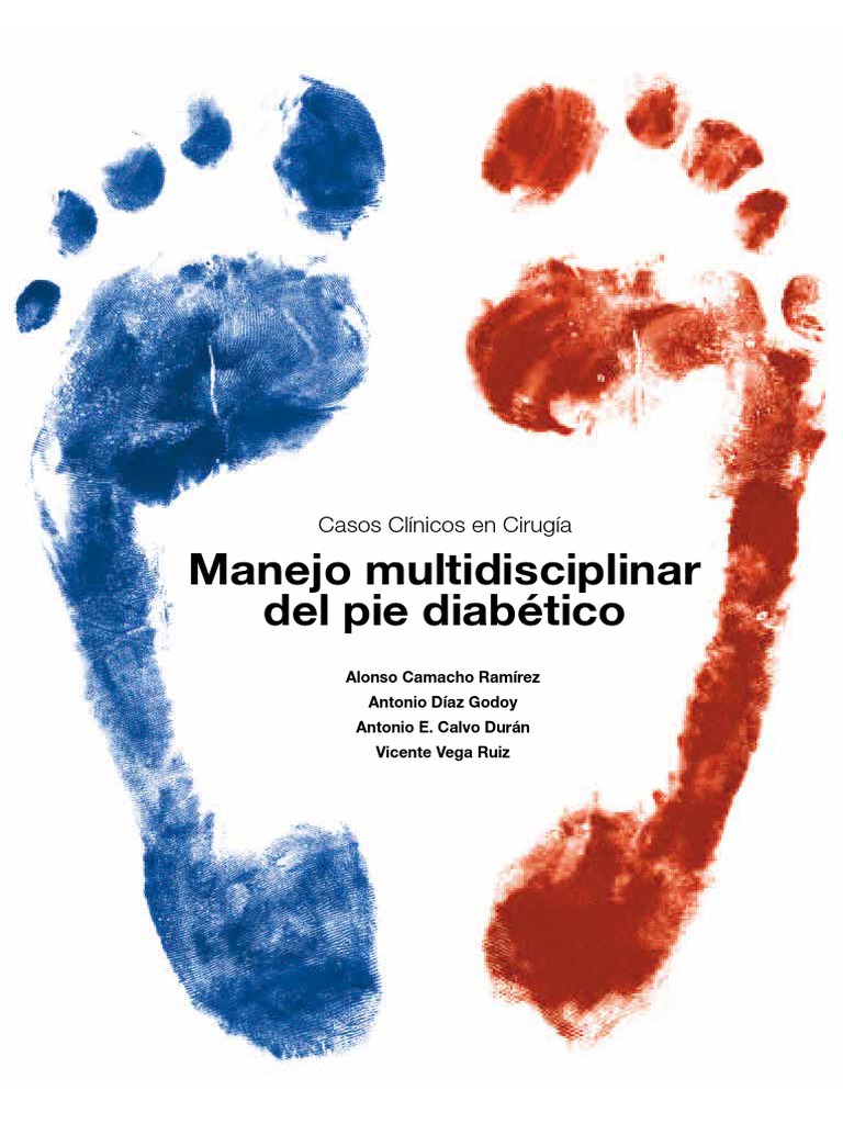 Libro Pie Diabetico 2015 Def PDF Tobillo Pie