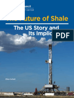 The Future of Shale