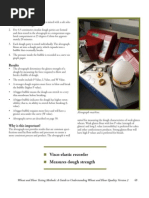 Dextrinisation | PDF | Starch | Foods