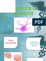 Apuntes Analogica - Ejerci