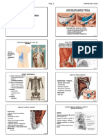5-anatomia-5-abdomen-alumno.pdf