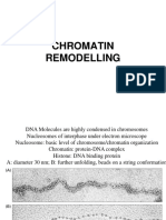 CHROMATIN REMODELING: HOW SWI/SNF COMPLEXES SHIFT NUCLEOSOMES