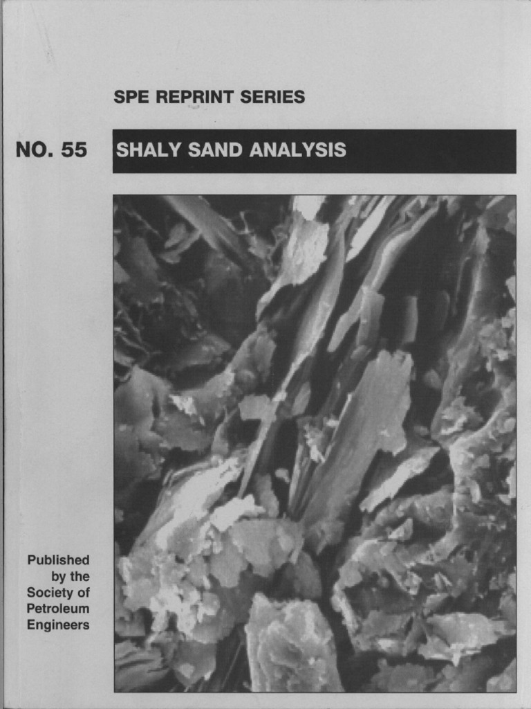Shaly Sand Analysis Spe Book | PDF