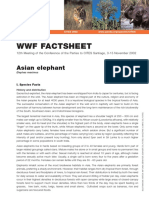 Asian Elephant Factsheet