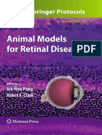 Animal Model in Retina