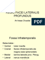 Regio Facei Lateralis Profundus